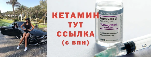 шишки Арсеньев