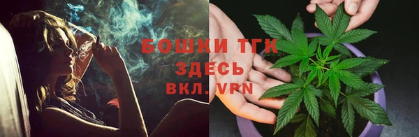spice Каменка