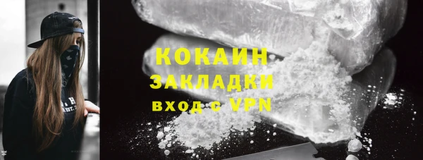 шишки Арсеньев