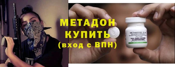 шишки Арсеньев