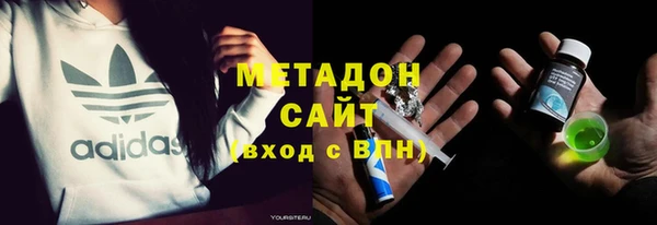 шишки Арсеньев