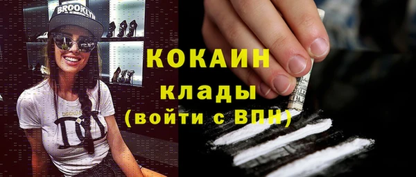 шишки Арсеньев
