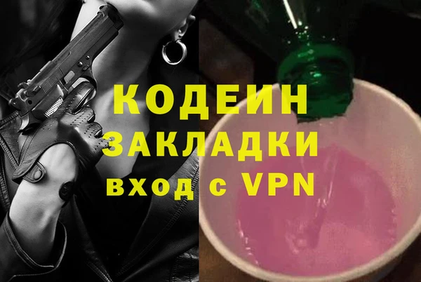 шишки Арсеньев
