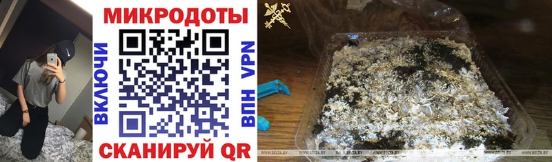 Галлюциногенные грибы Magic Shrooms  купить наркотики цена  Барыш 